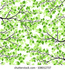 Vector floral background with fresh branches and leaves