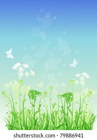 Vector  floral background with green grass and butterflies
