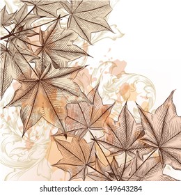 Vector floral baCKGROUND WITH HAND DRAWN maple leafs