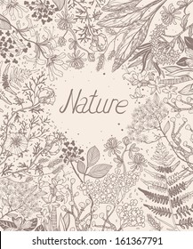 vector floral background with hand drawn plants, flowers and herbs