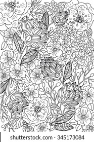 vector floral background with hand drawn flowers and plants. can be used for adult coloring books.