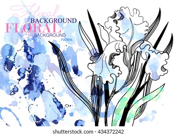 Vector floral background. Hand drawn iris and foliage.