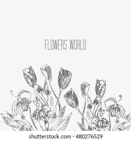 Vector floral background. Hand drawn, vector 