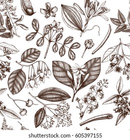 Vector floral background. Hand drawn Perfumery and cosmetics ingredients illustration. Aromatic and medicinal plant seamless pattern. 