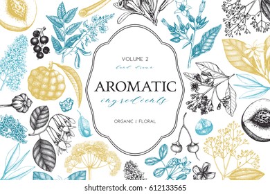 Vector floral background. Hand drawn Perfumery and cosmetics ingredients illustration. Aromatic and medicinal plant design. Vintage template