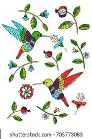 Vector floral background. Hand drawn illustration with humming birds, branches with fruits  and flowers