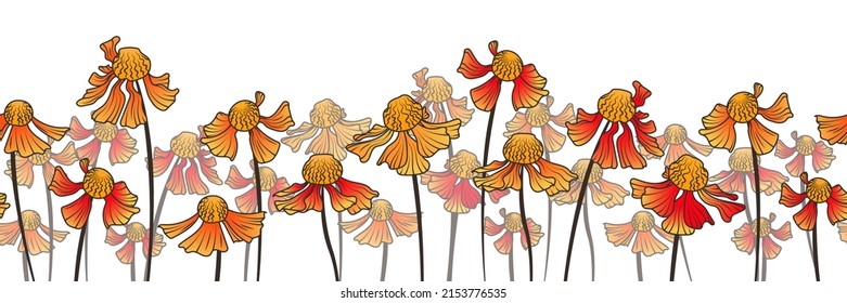 Vector floral background with helenium flowers. Flower border. Illustration of field for design of banner, poster, cards, decoration of rooms.