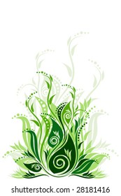 Vector floral background illustration isolated on white