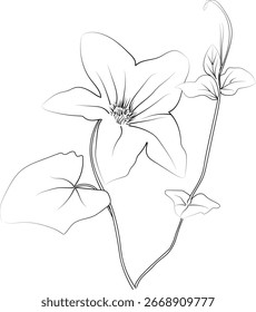 Vector floral background with ivy flower, detailed flowers coloring pages printable, ivy flower line art, creative flower drawings, ivy flower doodle tattoo for arms