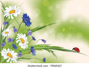 vector floral background with ladybird (EPS 10 )