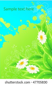 Vector floral background with leaves and daisies and free space four your text