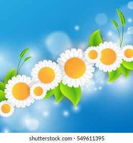 Vector  floral background. Pattern for design, brochures, wrapping. Eps10