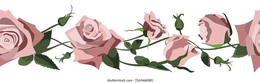 Vector floral background with pink roses, buds and leaves. Border design isolated on white background