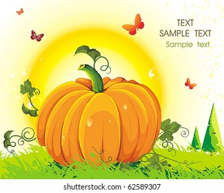 Vector Floral background with Place for your text. Abstract Classical autumn card with pumpkin and butterflies.