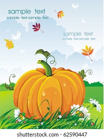 Vector Floral background with Place for your text. Abstract Classical autumn card with pumpkin and daisywheels.