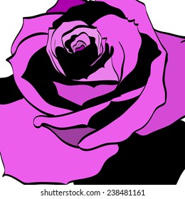 vector floral background ,purple rose