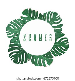 Vector floral background with tropical monstera palm leaves