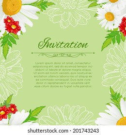 Vector floral background with white chamomiles, eps10