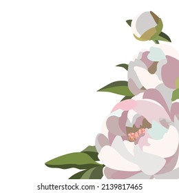 Fondo vectorial floral con peonías blancas y hojas verdes