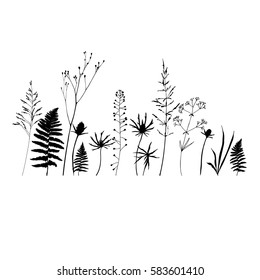 Vector floral background with wild meadow flowers and herbs.Thin delicate line silhouettes of different plants - johnson's grass, shepherd's purse, thistles, fern leaves.

