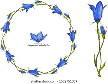 Vector floral bell flower set. Floral plant set.