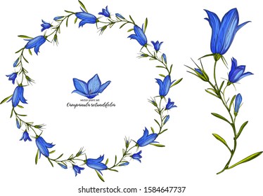 Vector floral bell flower set. Floral plant set.