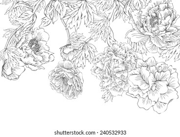 Vector floral black and white line drawings,Vector peony flower isolated fro background. Element for design. Hand-drawn contour lines and strokes.