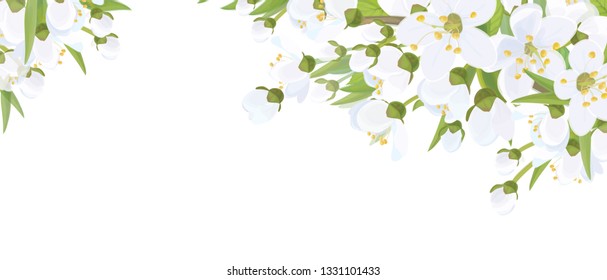 Vector floral  border. White flowers and leaves,  isolated on white.