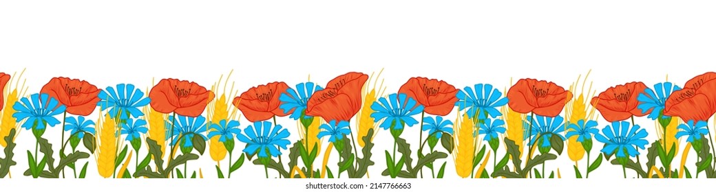 Vector floral border. Border with wild poppy flowers, cornflowers and a spikelet of ripe wheat. Design for postcards, background design of web sites, border for textiles.