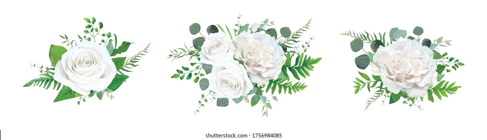 Vector floral bouquet design: garden ivory white powder pale peony Rose, Eucalyptus branch, greenery forest fern leaves. Wedding invite card Watercolor elegant, tender, designer decorative element set