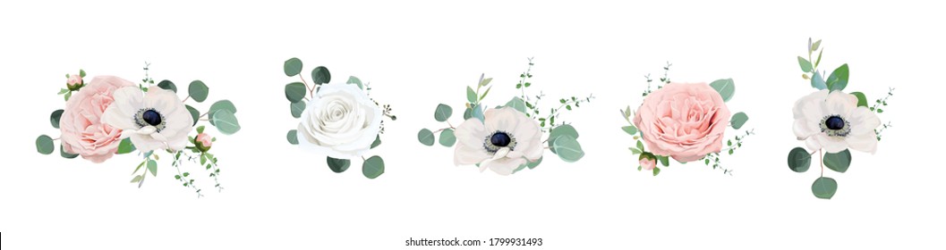 Vector floral bouquet design: Ivory white & blush peach powder peony Rose flower, anemone, Eucalyptus branch green sage leaves watercolor style illustration. Wedding invite card  designer elements set