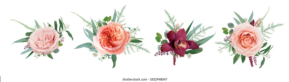 Vector floral bouquet design: pale coral Juliette rose flower, dusty pink, peach roses, burgundy red orchid, amaranth, Eucalyptus branch greenery leaf, tender fern. Wedding card watercolor element set