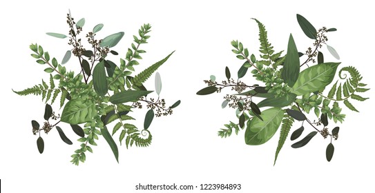 Vector floral bouquet design set, green forest leaf, fern, branches boxwood, buxus, eucalyptus. Watercolor style, herbs. Wedding for invite card Isolated design elements
