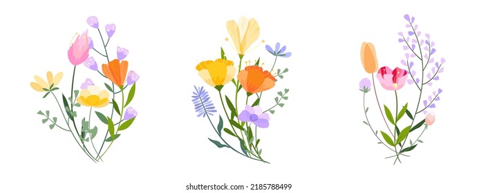 Vector floral bouquet illustration. Set of leaves, wildflowers, twigs, floral arrangements. Beautiful compositions of field grass and bright spring flowers