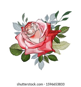 Vector floral bouquet of one red rose and green leaves isolated on white background. Hand drawn. Element for design. Watercolor style. Stock illustration.