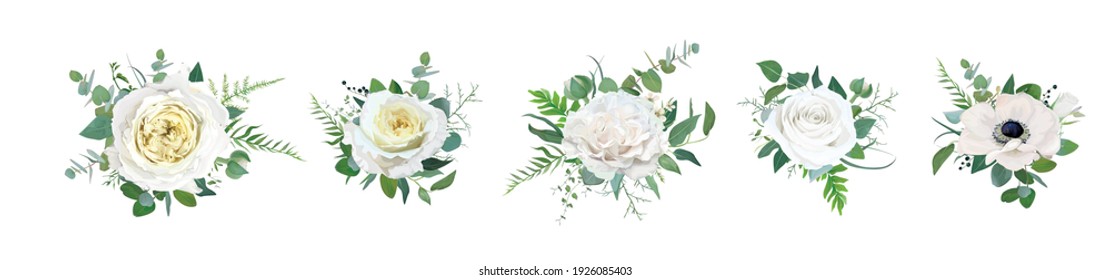 Vector floral bouquet set, editable design elements. Light yellow garden cabbage and peony roses, white anemone flowers, tender greenery eucalyptus, branches, fern leaves, ranunculus buds illustration