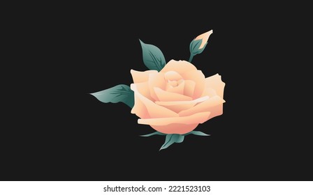 Vector floral bouquet set, editable design elements. Light yellow garden cabbage and peony roses, white anemone flowers, tender greenery eucalyptus, branches, fern leaves, ranunculus buds illustration
