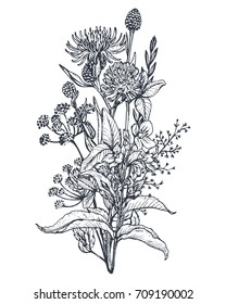 Vector floral bouquets with black and white hand drawn herbs and wildflowers in sketch style