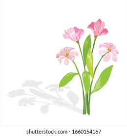 Vector of floral branch with shadow