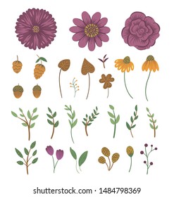 Vector floral clip art set. Hand drawn flat trendy illustration with flowers, leaves, branches, acorns, cones. Meadow, woodland, forest autumn elements isolated on white background