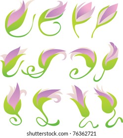 vector floral collection