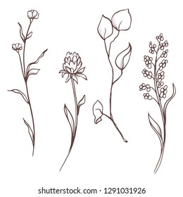 Vector floral collection. Hand drawn set Flowers and leaves. Blooming composition. Botanical illustration on a transparent background. Outline drawing. Line art. Vintage flowers.