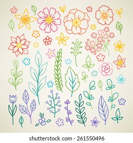 Vector floral collection. Hand drawn colorful rainbow flowers with leaves and herbs. Perfect for spring or summer invitation, wedding and greeting cards