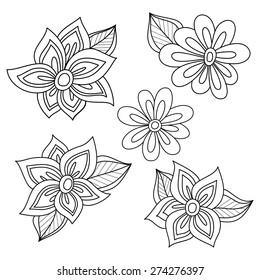 Vector Floral Collection of Hand Drawn Design Elements. Flowers and Leaves
