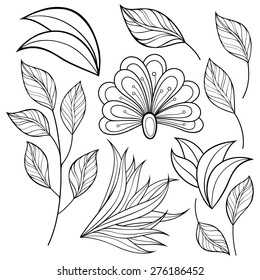 Vector Floral Collection of Hand Drawn Design Elements. Flowers and Leaves