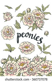  Vector Floral Collection of hand drawn Pink Peonies: isolated elements, bouquet and border for frame.