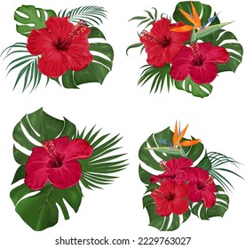 Vector Floral Collection. Juicy monster leaves, palm trees, red hibiscus, strelitzia flower. Floral compositions on white background 