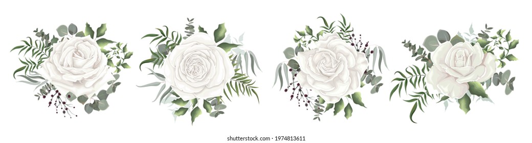 Vector floral collection. White roses, berries, eucalyptus, green plants and flowers. Flower compositions on a white background.