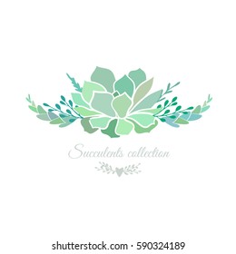 Vector floral composition with succulents isolated on white.