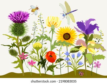 Vector floral composition. Summer blooming plants. Insects. Thistle, dandelion, camomile, sunflower, poppy, bells. Dragonfly, ladybird, bee.